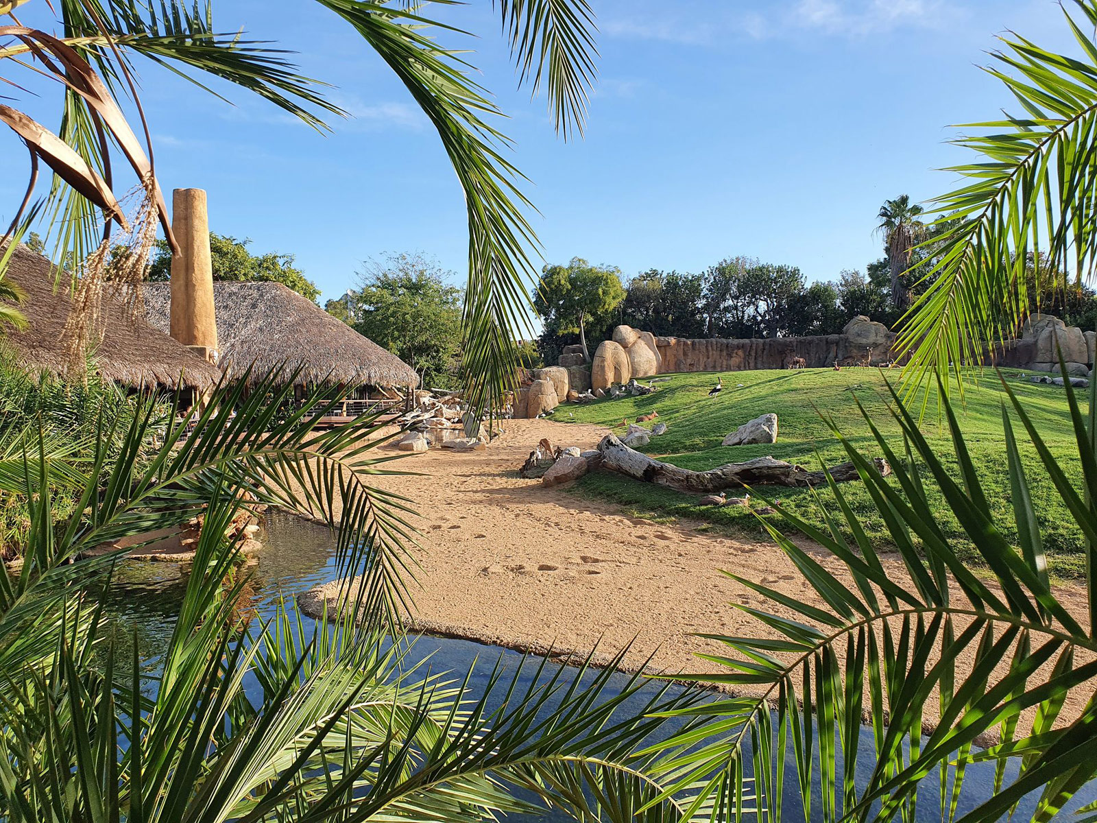 Bioparc Valencia